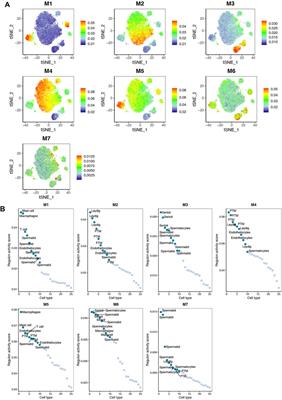 Single-Cell Transcriptomics-Based Study of Transcriptional Regulatory Features in the Non-Obstructive Azoospermia Testis